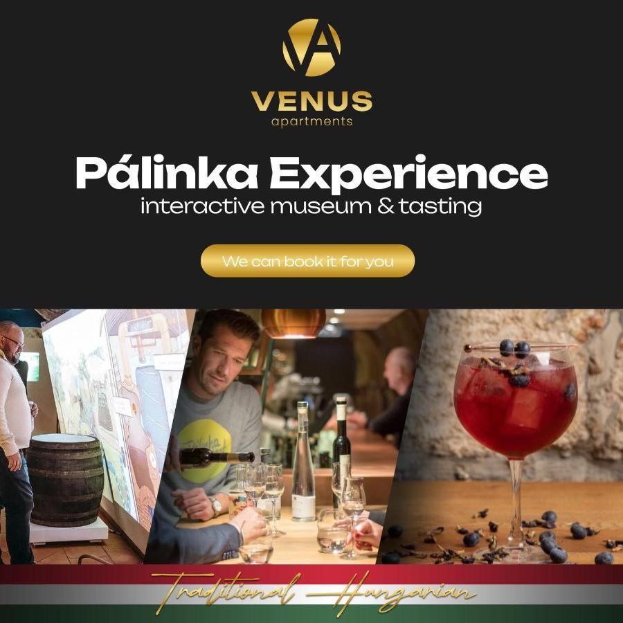 Venus Apartments - Dohany Street I ブダペスト エクステリア 写真